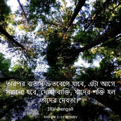 Picture 03 - হবক্কুক 1:11 BENIRV - তারপর বাতাস - Bible Verse Picture