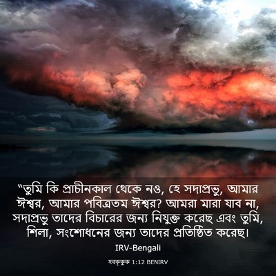 Picture 03 - হবক্কুক 1:12 BENIRV - “তুমি কি - Bible Verse Picture