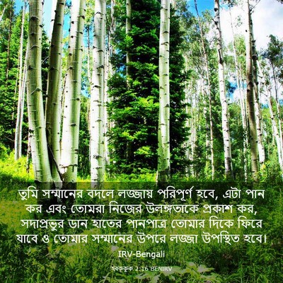 Picture 03 - হবক্কুক 2:16 BENIRV - তুমি সম্মানের - Bible Verse Picture