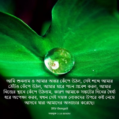 Picture 03 - হবক্কুক 3:16 BENIRV - আমি শুনলাম ও আমার - Bible Verse Picture