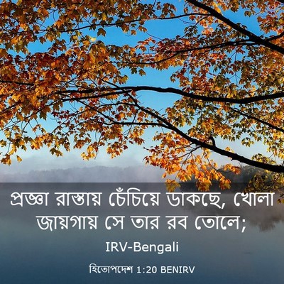 Picture 03 - হিতোপদেশ 1:20 BENIRV - প্রজ্ঞা রাস্তায় - Bible Verse Picture