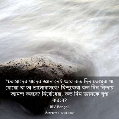 Picture 03 - হিতোপদেশ 1:22 BENIRV - “তোমাদের যাদের - Bible Verse Picture