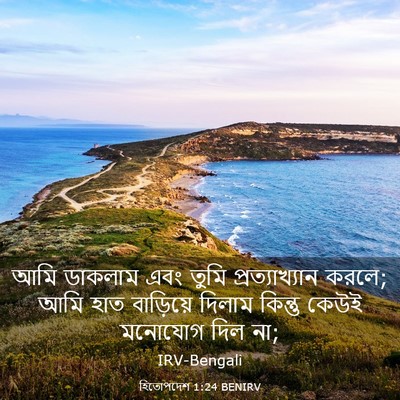 Picture 03 - হিতোপদেশ 1:24 BENIRV - আমি ডাকলাম এবং - Bible Verse Picture