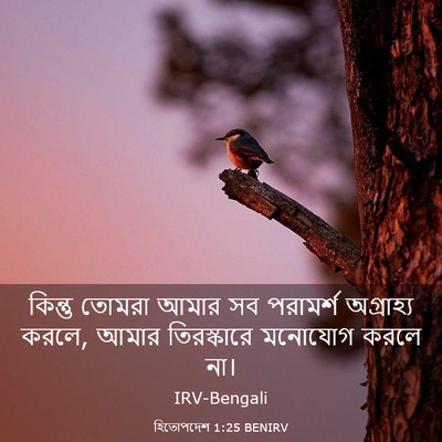 Picture 03 - হিতোপদেশ 1:25 BENIRV - কিন্তু তোমরা আমার - Bible Verse Picture
