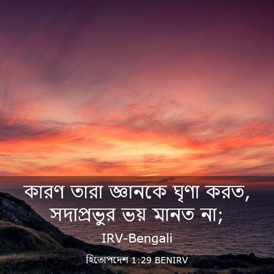 Picture 03 - হিতোপদেশ 1:29 BENIRV - কারণ তারা জ্ঞানকে - Bible Verse Picture