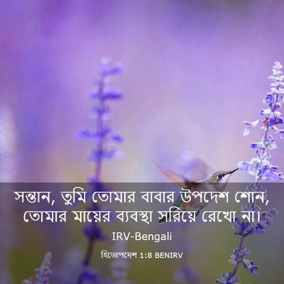 Picture 03 - হিতোপদেশ 1:8 BENIRV - সন্তান, তুমি তোমার - Bible Verse Picture