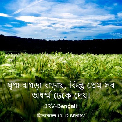 Picture 03 - হিতোপদেশ 10:12 BENIRV - ঘৃণা ঝগড়া - Bible Verse Picture