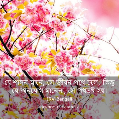 Picture 03 - হিতোপদেশ 10:17 BENIRV - যে শাসন মানে, সে - Bible Verse Picture