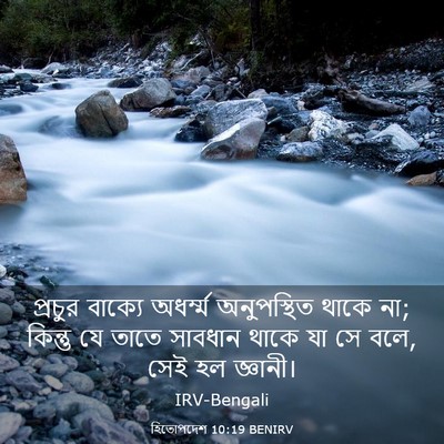 Picture 03 - হিতোপদেশ 10:19 BENIRV - প্রচুর বাক্যে - Bible Verse Picture