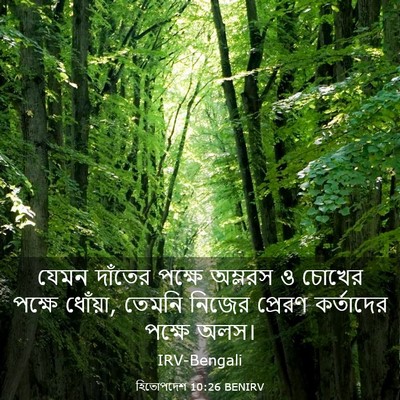Picture 03 - হিতোপদেশ 10:26 BENIRV - যেমন দাঁতের পক্ষে - Bible Verse Picture