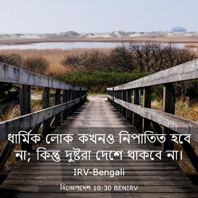 Picture 03 - হিতোপদেশ 10:30 BENIRV - ধার্মিক লোক কখনও - Bible Verse Picture