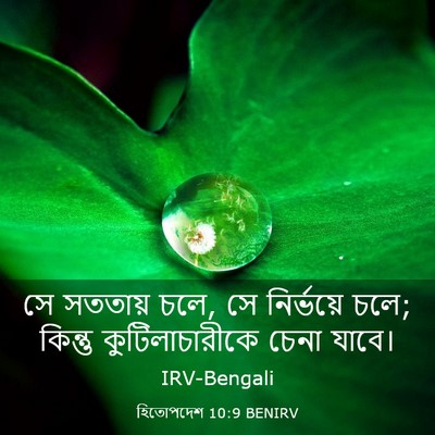 Picture 03 - হিতোপদেশ 10:9 BENIRV - সে সততায় চলে, সে - Bible Verse Picture