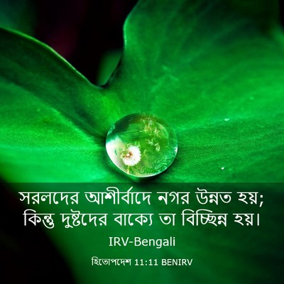 Picture 03 - হিতোপদেশ 11:11 BENIRV - সরলদের আশীর্বাদে - Bible Verse Picture