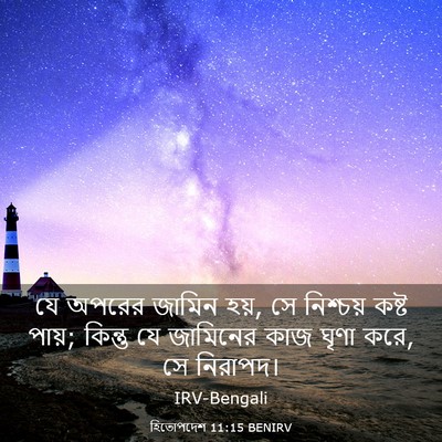 Picture 03 - হিতোপদেশ 11:15 BENIRV - যে অপরের জামিন হয়, - Bible Verse Picture