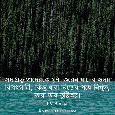 Picture 03 - হিতোপদেশ 11:20 BENIRV - সদাপ্রভু তাদেরকে - Bible Verse Picture