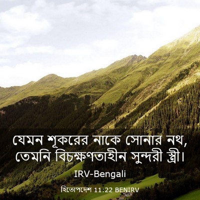 Picture 03 - হিতোপদেশ 11:22 BENIRV - যেমন শূকরের নাকে - Bible Verse Picture