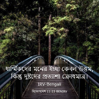 Picture 03 - হিতোপদেশ 11:23 BENIRV - ধার্ম্মিকদের মনের - Bible Verse Picture