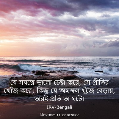 Picture 03 - হিতোপদেশ 11:27 BENIRV - যে সযত্নে ভালো - Bible Verse Picture