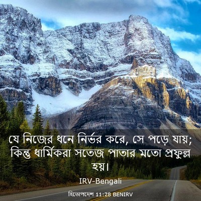 Picture 03 - হিতোপদেশ 11:28 BENIRV - যে নিজের ধনে - Bible Verse Picture