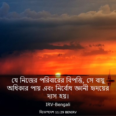 Picture 03 - হিতোপদেশ 11:29 BENIRV - যে নিজের পরিবারের - Bible Verse Picture