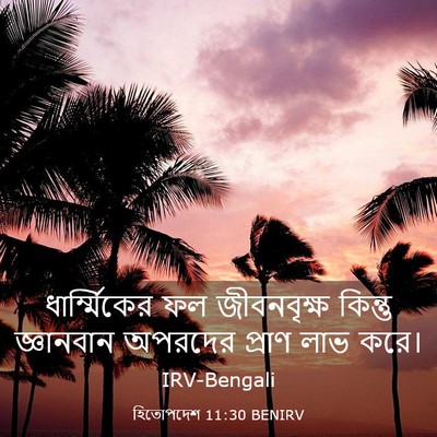 Picture 03 - হিতোপদেশ 11:30 BENIRV - ধার্ম্মিকের ফল - Bible Verse Picture