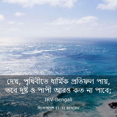Picture 03 - হিতোপদেশ 11:31 BENIRV - দেখ, পৃথিবীতে - Bible Verse Picture