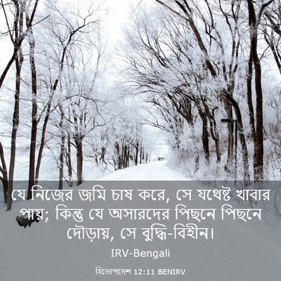 Picture 03 - হিতোপদেশ 12:11 BENIRV - যে নিজের জমি চাষ - Bible Verse Picture