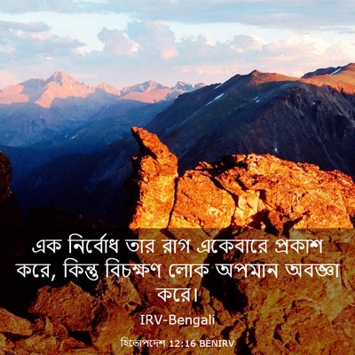 Picture 03 - হিতোপদেশ 12:16 BENIRV - এক নির্বোধ তার রাগ - Bible Verse Picture
