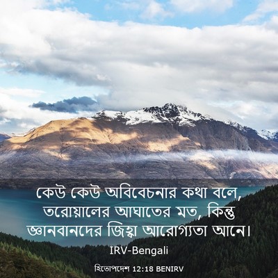 Picture 03 - হিতোপদেশ 12:18 BENIRV - কেউ কেউ অবিবেচনার - Bible Verse Picture