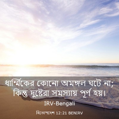 Picture 03 - হিতোপদেশ 12:21 BENIRV - ধার্ম্মিকের কোনো - Bible Verse Picture