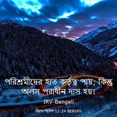 Picture 03 - হিতোপদেশ 12:24 BENIRV - পরিশ্রমীদের হাত - Bible Verse Picture
