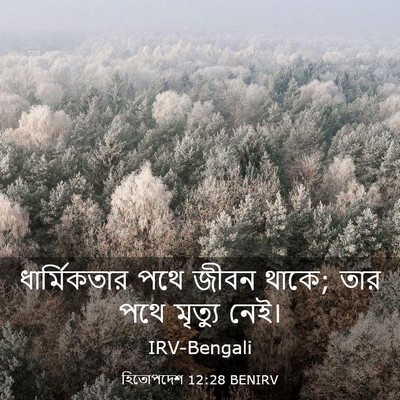 Picture 03 - হিতোপদেশ 12:28 BENIRV - ধার্মিকতার পথে - Bible Verse Picture