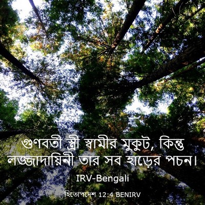 Picture 03 - হিতোপদেশ 12:4 BENIRV - গুণবতী স্ত্রী - Bible Verse Picture