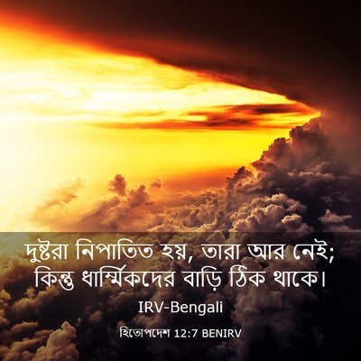Picture 03 - হিতোপদেশ 12:7 BENIRV - দুষ্টরা নিপাতিত - Bible Verse Picture