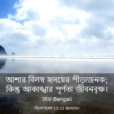 Picture 03 - হিতোপদেশ 13:12 BENIRV - আশার বিলম্ব - Bible Verse Picture