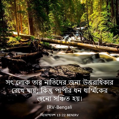 Picture 03 - হিতোপদেশ 13:22 BENIRV - সৎ লোক তার নাতিদের - Bible Verse Picture
