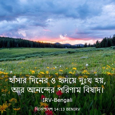 Picture 03 - হিতোপদেশ 14:13 BENIRV - হাঁসার দিনের ও - Bible Verse Picture