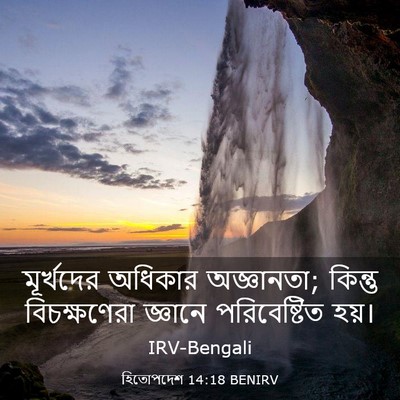 Picture 03 - হিতোপদেশ 14:18 BENIRV - মূর্খদের অধিকার - Bible Verse Picture