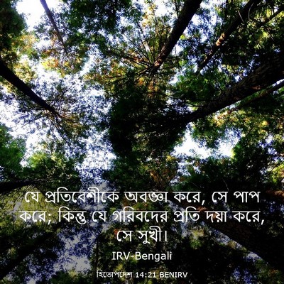Picture 03 - হিতোপদেশ 14:21 BENIRV - যে প্রতিবেশীকে - Bible Verse Picture
