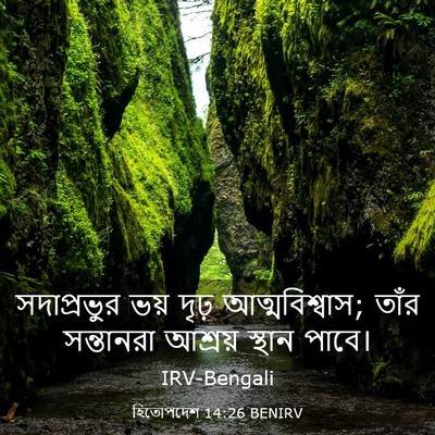 Picture 03 - হিতোপদেশ 14:26 BENIRV - সদাপ্রভুর ভয় - Bible Verse Picture