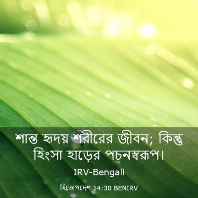 Picture 03 - হিতোপদেশ 14:30 BENIRV - শান্ত হৃদয় - Bible Verse Picture