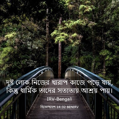 Picture 03 - হিতোপদেশ 14:32 BENIRV - দুষ্ট লোক নিজের - Bible Verse Picture