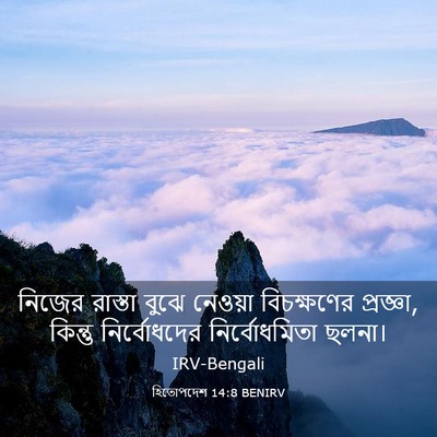 Picture 03 - হিতোপদেশ 14:8 BENIRV - নিজের রাস্তা বুঝে - Bible Verse Picture
