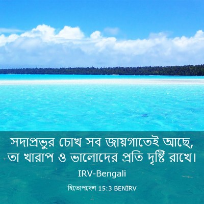Picture 03 - হিতোপদেশ 15:3 BENIRV - সদাপ্রভুর চোখ সব - Bible Verse Picture