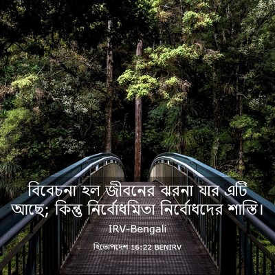 Picture 03 - হিতোপদেশ 16:22 BENIRV - বিবেচনা হল জীবনের - Bible Verse Picture