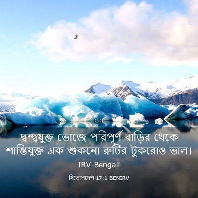Picture 03 - হিতোপদেশ 17:1 BENIRV - দ্বন্দ্বযুক্ত - Bible Verse Picture