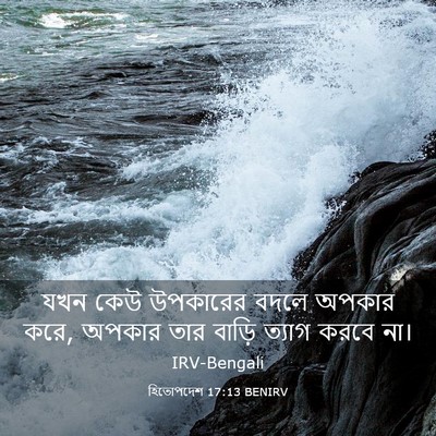 Picture 03 - হিতোপদেশ 17:13 BENIRV - যখন কেউ উপকারের - Bible Verse Picture