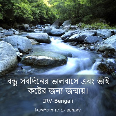Picture 03 - হিতোপদেশ 17:17 BENIRV - বন্ধু সবদিনের - Bible Verse Picture