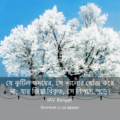 Picture 03 - হিতোপদেশ 17:20 BENIRV - যে কুটিল হৃদয়ের, - Bible Verse Picture