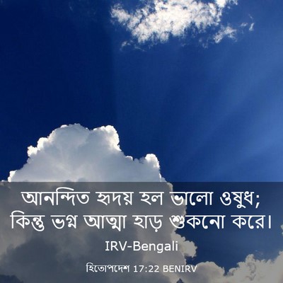Picture 03 - হিতোপদেশ 17:22 BENIRV - আনন্দিত হৃদয় হল - Bible Verse Picture